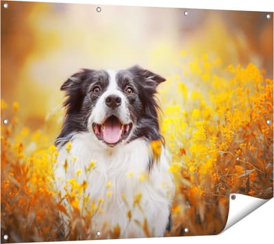 Gards Tuinposter Blije Hond tussen de Bloemen - 120x90 cm - Tuindoek - Tuindecoratie - Wanddecoratie buiten - Tuinschilderij
