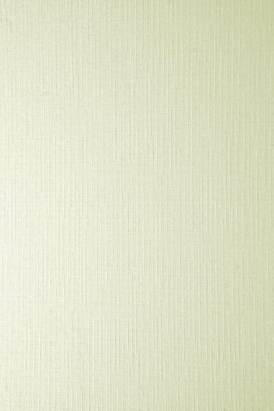 Netuno - ecru gestructureerd papier - rasterstructuur - A4 - 21 x 29,7 cm - 20 vellen - 246 gram - Elfenbens