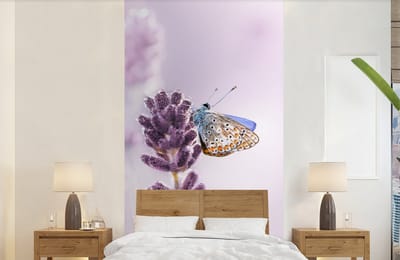 Behang - Fotobehang Lavendel - Vlinder - Close-up - Paars - Breedte 120 cm x hoogte 240 cm