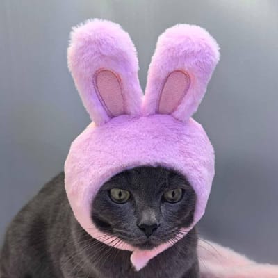 Pluche schattige konijnenmuts voor katten & compacte honden kat versiering bevestigingen zachte huisdierbenodigdheden hoofdbedekking