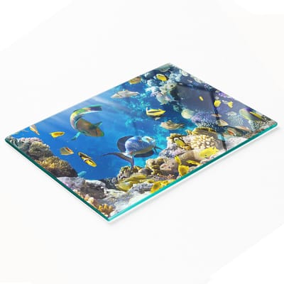 Multifunctionele decoratieve glazen snijplank voor de keuken met koraalrifmotief, 80x52 cm