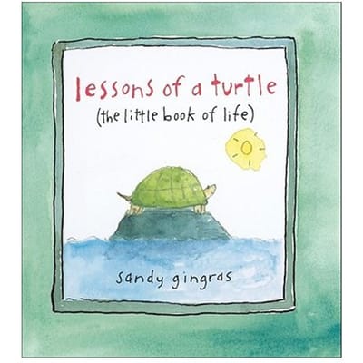 Lessons Of A Turtle - Sandy Gingras