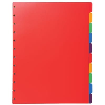 Exacompta uitneembare tabbladen voor showalbum met ringen, in gekleurd PP, 10 tabs