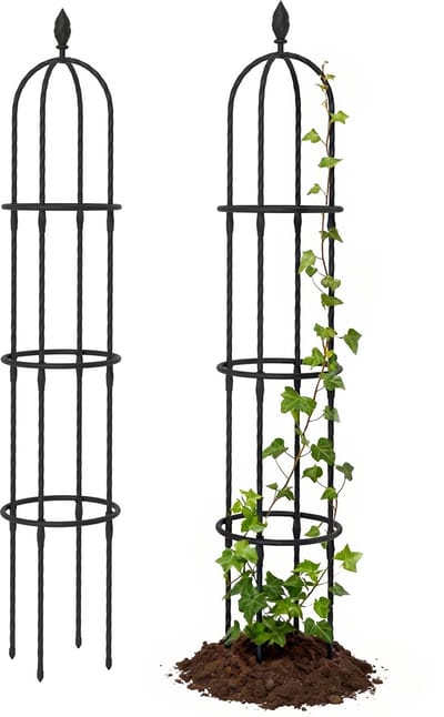 Tuin Klimhulp - Klimrek Obelisk - Planten Ondersteunen - Roestbestendig Staal - 2-delig 174 cm - Zwart
