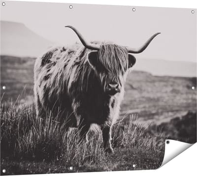 Gards Tuinposter Schotse Hooglander Koe - Zwart Wit - 120x90 cm - Tuindoek - Tuindecoratie - Wanddecoratie buiten - Tuinschilderij