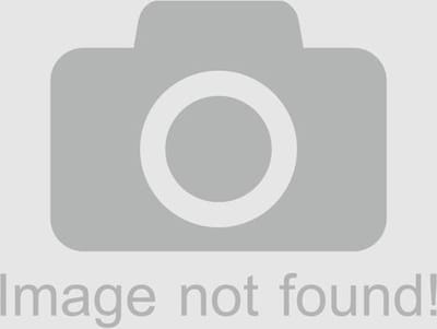 Metseltroffel 20x12cm Rechtshandig RVS, Serie 30