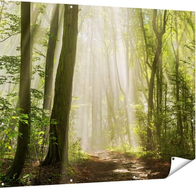 Gards Tuinposter Bos met Bomen en Zonneschijn - 150x120 cm - Tuindoek - Tuindecoratie - Wanddecoratie buiten - Tuinschilderij
