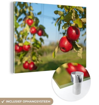 ® Glasschilderij 160x120 cm - Schilderij acrylglas - Appel - Boom - Fruit - Foto op glas - Muurdecoratie woonkamer - Wanddecoratie slaapkamer - Schilderijen
