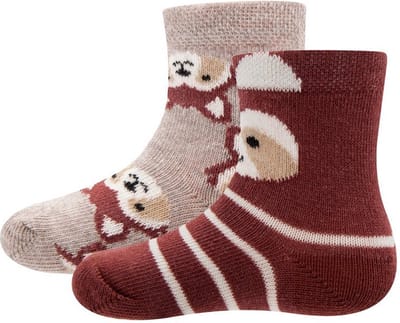 Babysokjes Bruin/Beige met Wasbeertjes - Dubbelpak - Ewers -18/19