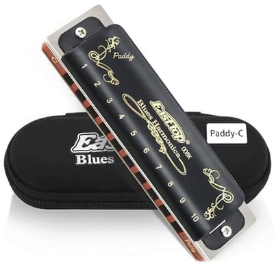 Diatonische Blues mondharmonica 10 gaten, sleutel C voor volwassenen en studenten