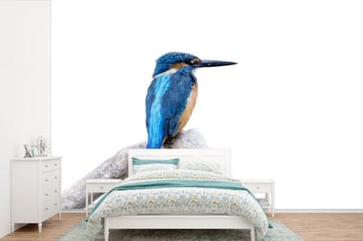 Behang - Fotobehang IJsvogel - Tak - Snavel - Breedte 420 cm x hoogte 280 cm