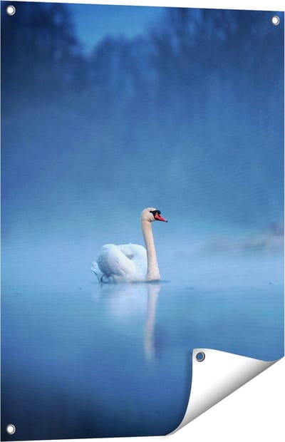 Gards Tuinposter Zwaan op het Water tussen de Mist - 60x80 cm - Tuindoek - Tuindecoratie - Wanddecoratie buiten - Tuinschilderij