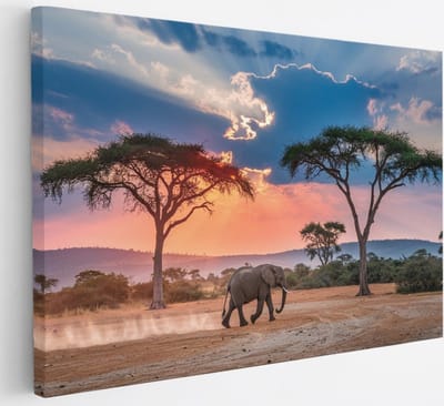 Saammp Canvas Schilderij - olifant in de serangeti - Afrika - Dieren - 30x20 - Foto op canvas - Wanddecoratie - muurdecoratie Woonkamer - Slaapkamer decoratie - Canvas Print