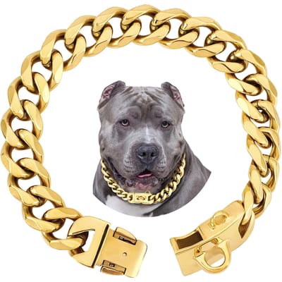Sterke Heavy Duty 19MM Brede Lichtmetalen Sterke Metalen Cubaanse Schakel Hondenhalsband, Gouden Hondenketting Halsband voor Kleine Middelgrote Honden 10inch(25cm)