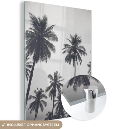 MuchoWow® Glasschilderij 30x40 cm - Schilderij acrylglas - Palmboom - Tropisch - Natuur - Foto op glas - Schilderijen
