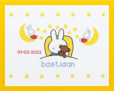 Pako Borduurpakket geboorte- telpatroon met codekaart - Nijntje gaat slapen Dick Bruna geboortetegel -230.278 - voorgesorteerd garen- Aida - 45 x 36 cm - DIY kit