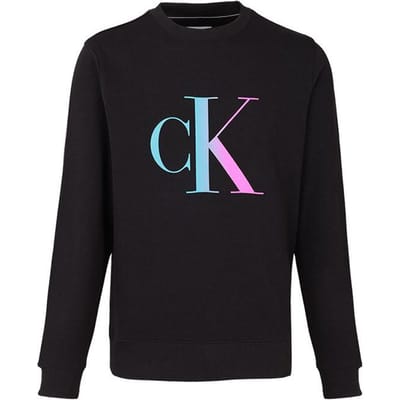 Calvin Klein Logo Graphic Crewneck Sweatshirt Heren Sweatshirt Zwart J30J320841-BEH L black