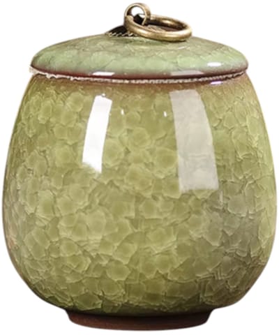 Artic Celeste Mini Urn – Lichtgroen – 200 ML – Hoogwaardig Keramiek – Handgemaakt – As Urn – Menselijk As – Huisdieren Urn – Urn Hond – Urn Kat – Urn voor As Volwassen – Decoratie Urne – Urnen – Mini Urn – Urne Volwassenen – Urn voor Dieren