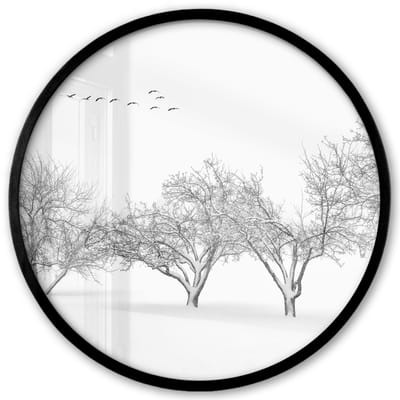 Poster in lijst Rond - Fotolijst 40x40 cm - Posters - Bomen - Zwart wit - Natuur - Vogels - Ronde posterlijst zwart - Decoratie - Wanddecoratie woonkamer - Muurdecoratie slaapkamer