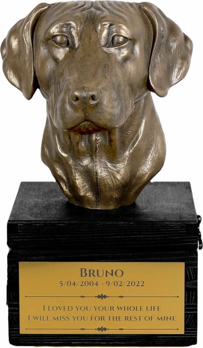 Urn hond met gravure en sculptuur van Rhodesian Ridgeback en African Lionhound