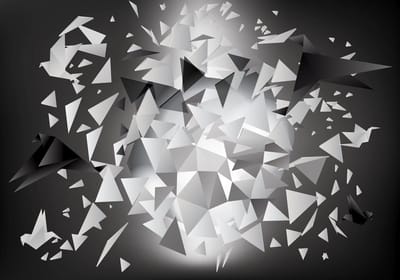 Explosion Birds Abstract Photo Wallcovering