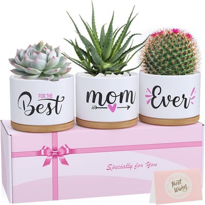 Unieke cadeaupotten voor mama - Perfecte verjaardagscadeaus voor elke gelegenheid