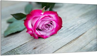 TMK ArtDeko Serie - Beschermplaat van glas voor kookplaat - 90x52 cm - Roos