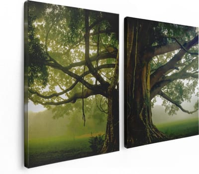 Artaza Canvas Schilderij Tweeluik Grote Levensboom Met Veel Takken - 120x80 - Foto Op Canvas - Canvas Print