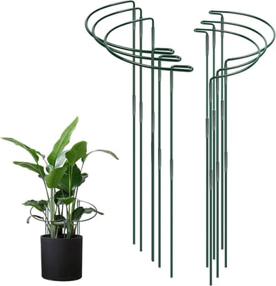 SnelShoppen - Pack van 6 Plant Steunen, 60 x 30 cm, Metalen Halve Cirkel Plant Ondersteuning, Tuin Bloem Steun, Groene Perennial Houder voor Potplante