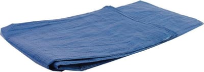 Talen Tools - Dekzeil - 50 gr/m² - 2 x 3 meter - Blauw