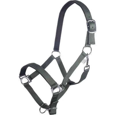 Halster voor paarden HKM Stars