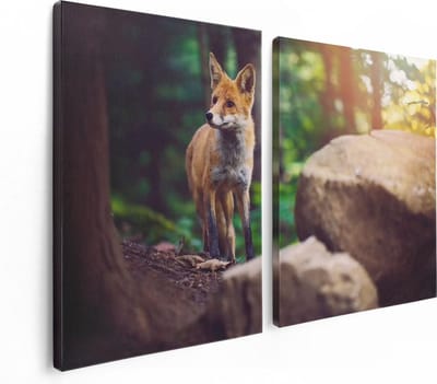 Artaza Canvas Schilderij Tweeluik Vos in het Bos bij Stenen - 120x80 - Foto Op Canvas - Canvas Print