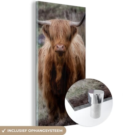 MuchoWow® Glasschilderij 20x40 cm - Schilderij acrylglas - Schotse Hooglander - Mos - Gras - Foto op glas - Schilderijen