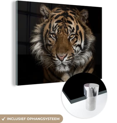 MuchoWow® Glasschilderij 160x120 cm - Schilderij acrylglas - Tijger - Wilde dieren - Portret - Foto op glas - Schilderijen