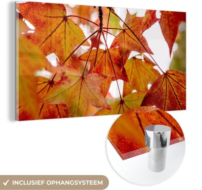MuchoWow® Glasschilderij 40x20 cm - Schilderij acrylglas - Herfsttakken - Bladeren - Seizoenen - Landelijk - Foto op glas - Schilderijen