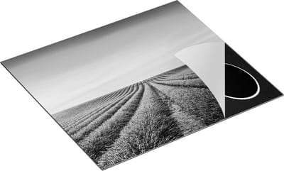 Chefcare Inductie Beschermer Paarse Lavendel Bloemenveld - Zwart Wit - 60x50 cm - Afdekplaat Inductie - Kookplaat Beschermer - Inductie Mat