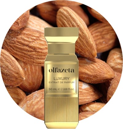 Olfazeta Chogan Parfum - Nr. 124 - Mystieke & Kruidige Unisex Geur met Cacao & Amandel - Kruidig - 50ml