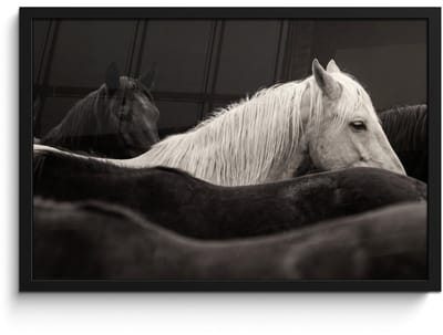 Poster in lijst - Fotolijst 60x40 cm - Posters - Paarden - Zwart - Wit - Kudde - Posterlijst zwart - Decoratie - Wanddecoratie woonkamer - Muurdecoratie slaapkamer