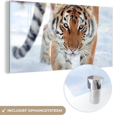 MuchoWow® Glasschilderij 40x20 cm - Schilderij acrylglas - Tijger - Sneeuw - Dieren - Foto op glas - Schilderijen