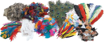 Colorations knutselpakket veren kleurrijke creatieve set voor kinderen.