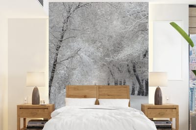 Behang - Fotobehang Bomen - Sneeuw - Winter - Breedte 160 cm x hoogte 220 cm
