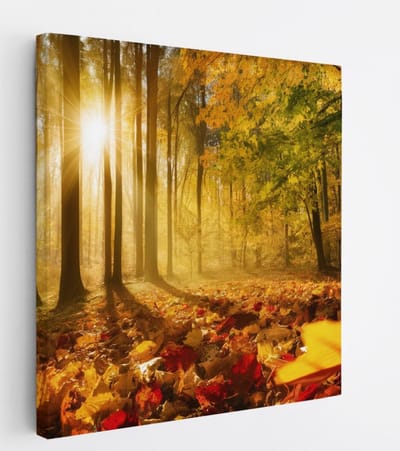 Saammp Canvas Schilderij - Herfstbladeren met zonsopgang - Landschap - Natuur - 20x20 - Foto op canvas - Wanddecoratie - Muurdecoratie Woonkamer - Slaapkamer decoratie - Canvas Print