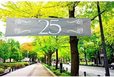 Folat - Streetbanner 25 zilver