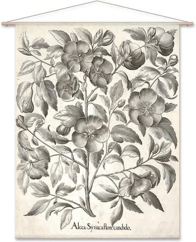 Wanddoek Alcea Syriaca Flore Candido (zonder houten stokken)