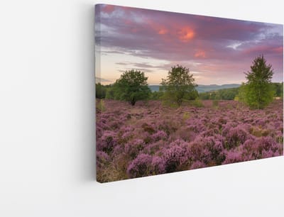 Saammp Canvas Schilderij - Groot lavendelveld - Landschap - Natuur - 45x30 - Foto op canvas - Wanddecoratie - Muurdecoratie Woonkamer - Slaapkamer decoratie - Canvas Print