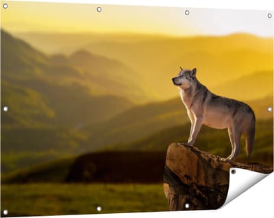 Gards Tuinposter Wolf op een Rots met een Heuvel Landschap - 120x80 cm - Tuindoek - Tuindecoratie - Wanddecoratie buiten - Tuinschilderij