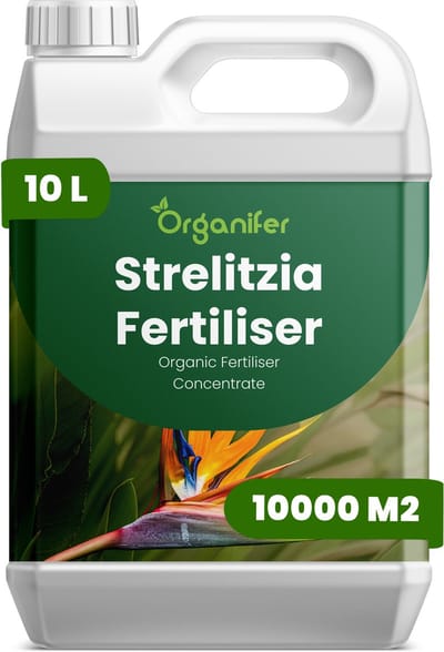Vloeibare Meststof Voor Strelitzia 10 L Voor 10000 M2 - Npk 2-1-8 - Ondersteunt Krachtige Vegetatieve Groei En Een Opgaande Structuur Bij Strelitzia - Bevordert Betrouwbare Ontwikkeling Van Bloemstelen En Bloemkwaliteit - Organifer