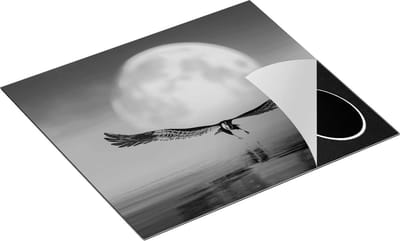 Chefcare Inductie Beschermer Adelaar boven het Water bij de Maan - Zwart Wit - 60x50 cm - Afdekplaat Inductie - Kookplaat Beschermer - Inductie Mat