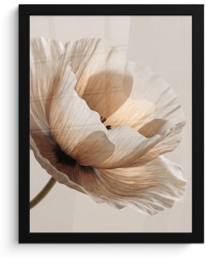 Poster in lijst - Fotolijst 30x40 cm - Posters - Bloem - Beige - Crème - Posterlijst zwart - Decoratie - Wanddecoratie woonkamer - Muurdecoratie slaapkamer
