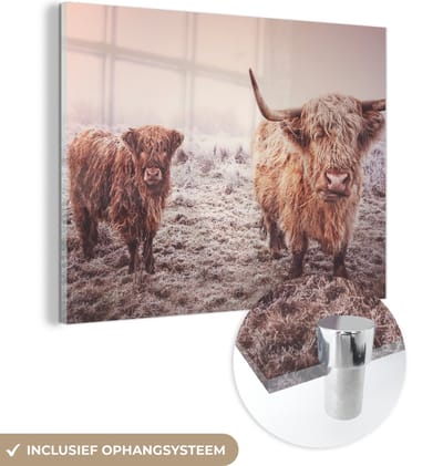 MuchoWow® Glasschilderij 160x120 cm - Schilderij acrylglas - Schotse Hooglander - Winter - Sneeuw - Koe - Weiland - Bruin - Foto op glas - Schilderijen